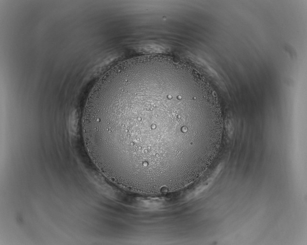 X0000111430359200907131228