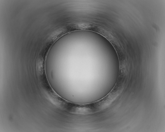 X0000111430360200907131228