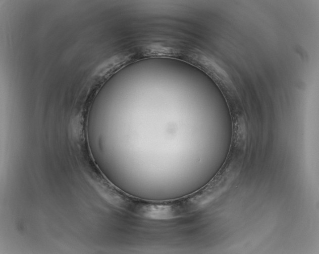 X0000111430361200907131228