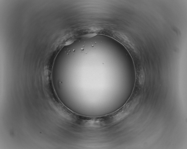 X0000111430366200907131228