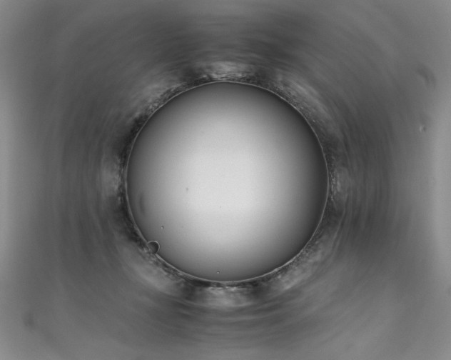 X0000111430367200907131228