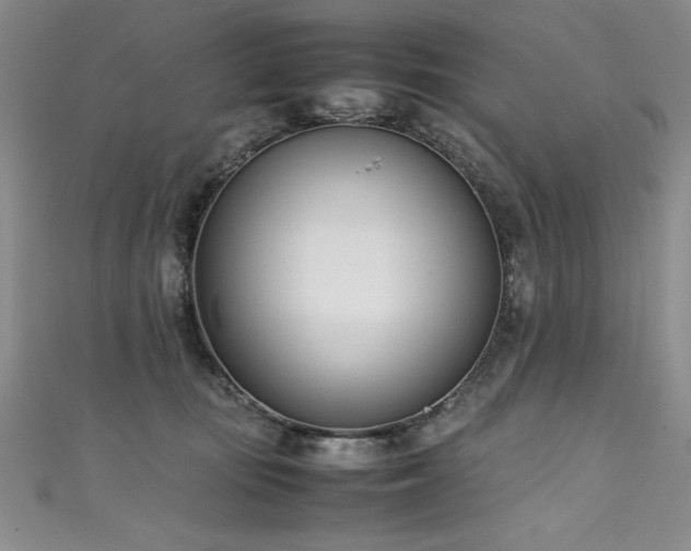 X0000111430371200907131228