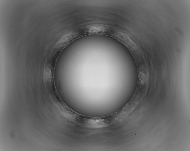 X0000111430375200907131228
