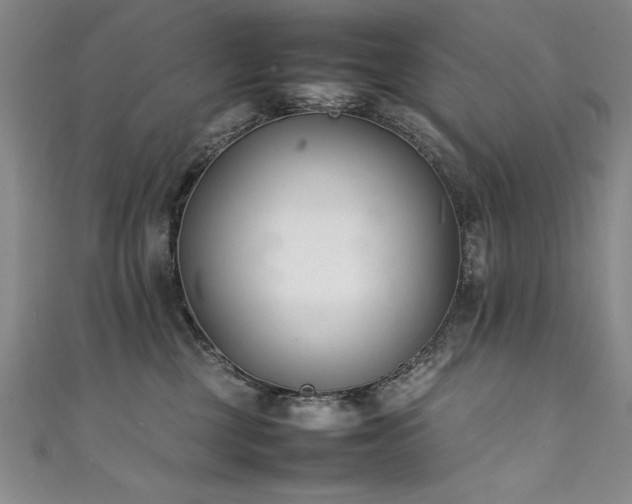 X0000111430377200907131228