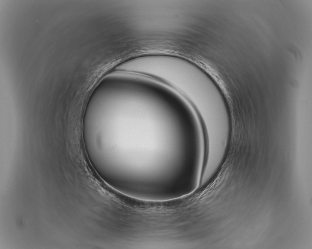 X0000111430385200907131227