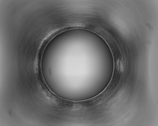 X0000111430388200907131227