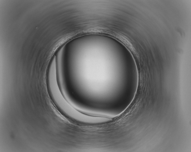 X0000111430389200907131227