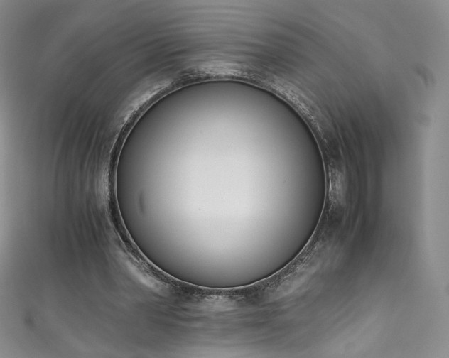 X0000111430390200907131227