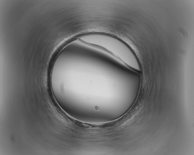 X0000111430391200907131227