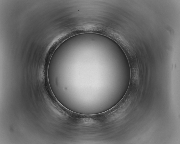 X0000111430392200907131227