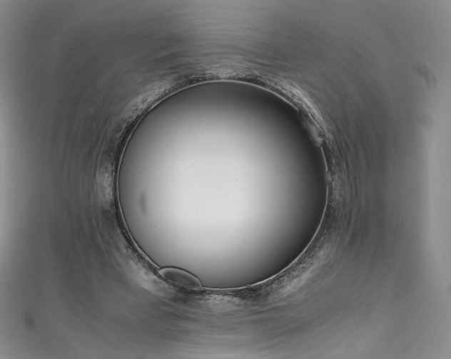 X0000111430393200907131227