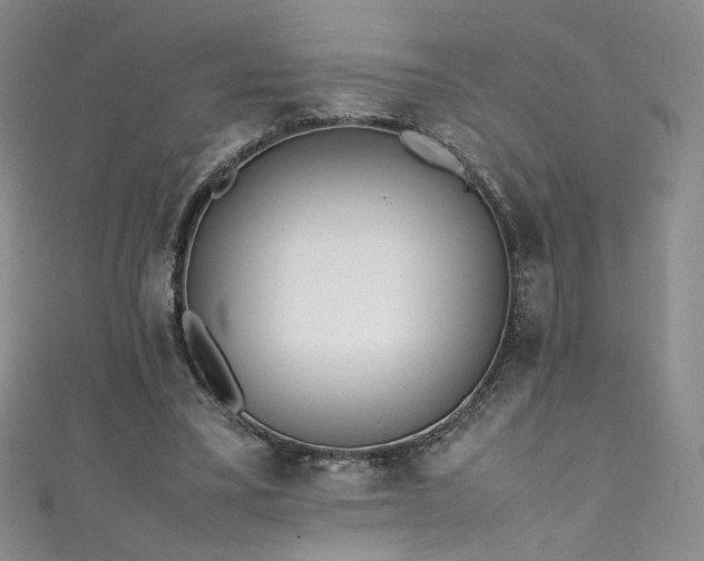 X0000111430395200907131227