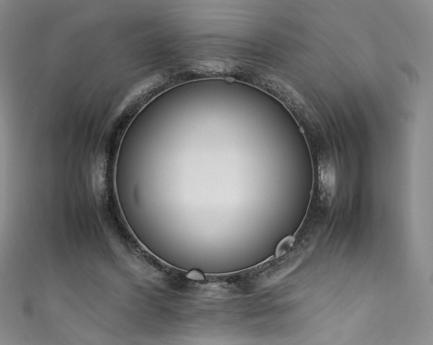 X0000111430396200907131227