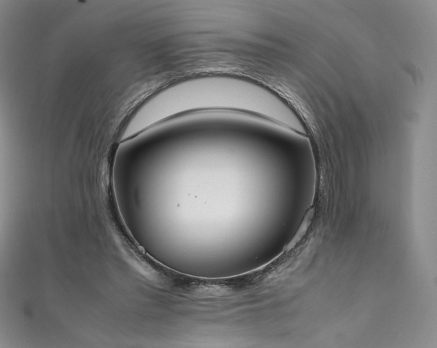 X0000111430397200907131227