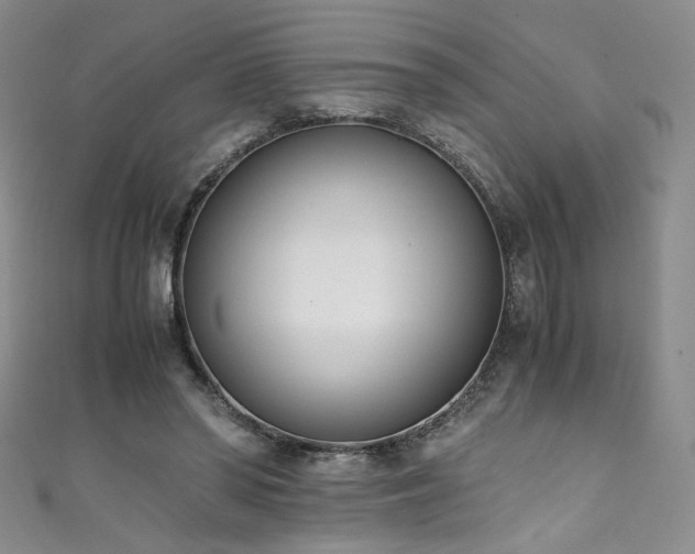 X0000111430398200907131227