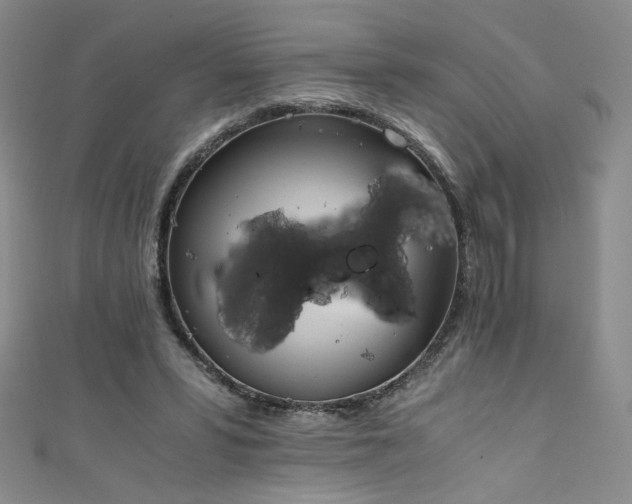 X0000111430399200907131227
