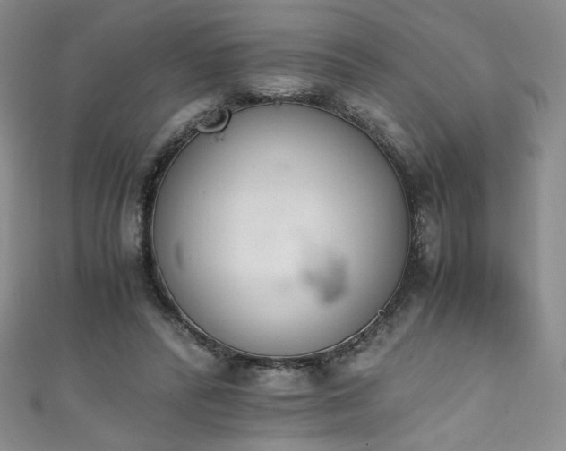 X0000111430400200907131227