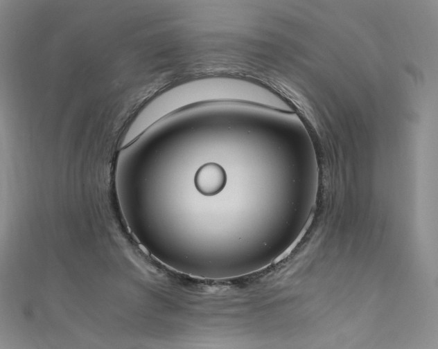 X0000111430401200907131227