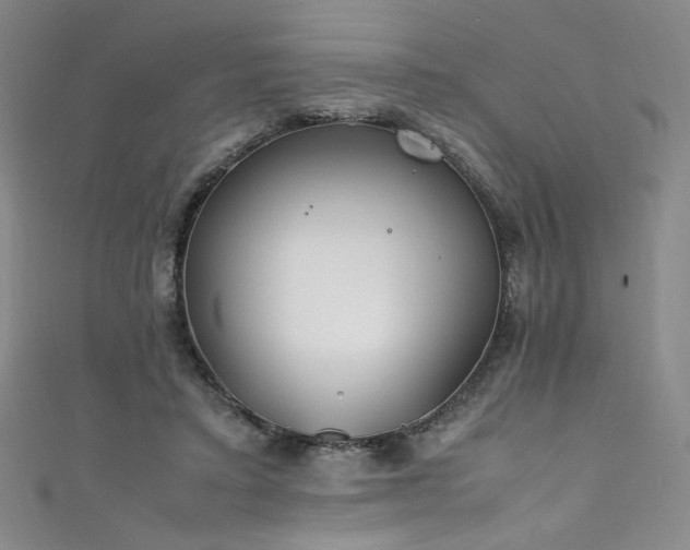 X0000111430403200907131227