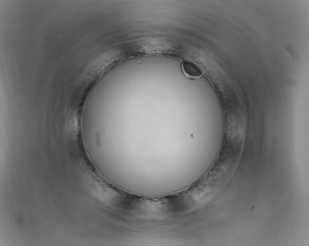 X0000111430405200907131227