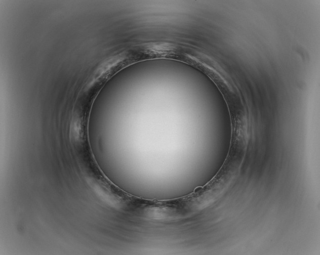 X0000111430408200907131227