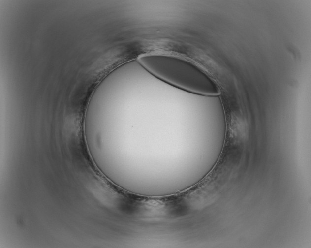 X0000111430409200907131227