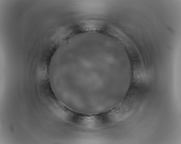 X0000111430411200907131227