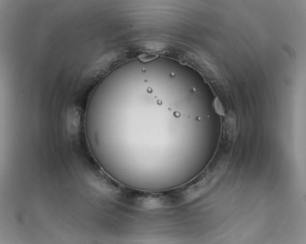 X0000111430412200907131227