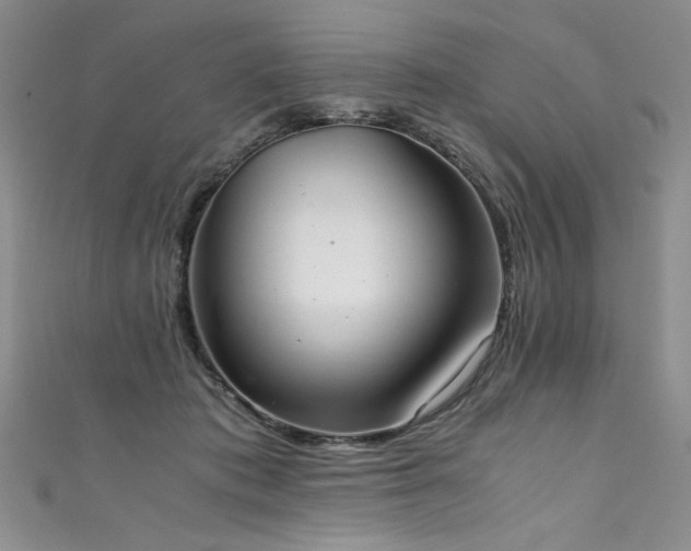 X0000111430413200907131227