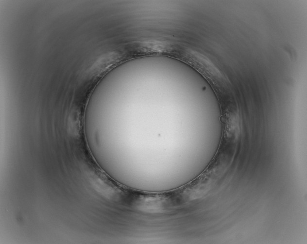 X0000111430414200907131227
