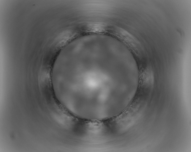 X0000111430415200907131227
