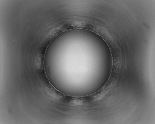 X0000111430416200907131227