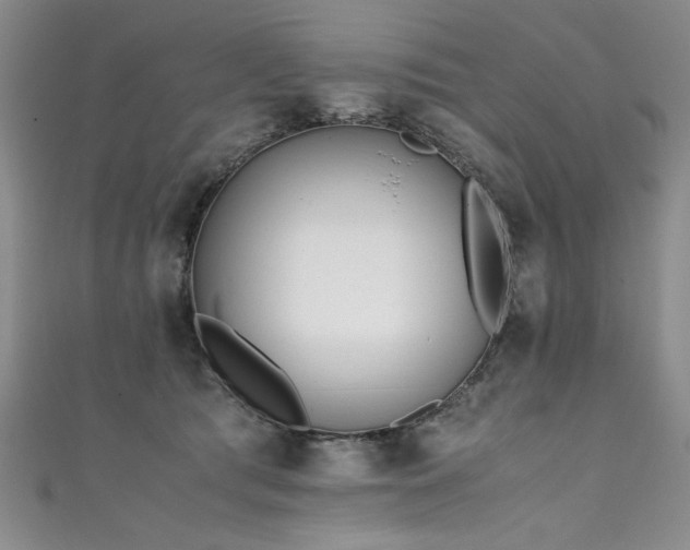 X0000111430417200907131227