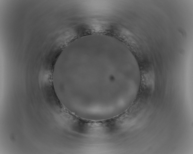 X0000111430419200907131227
