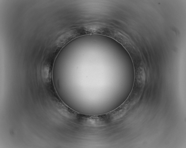 X0000111430420200907131227