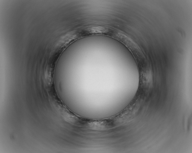 X0000111430422200907131227