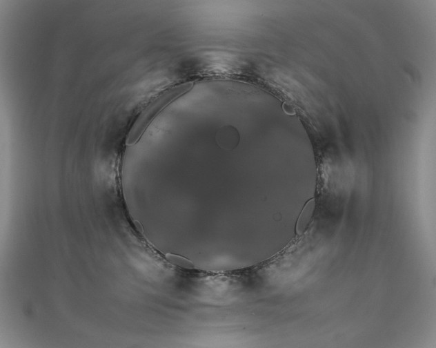 X0000111430423200907131227