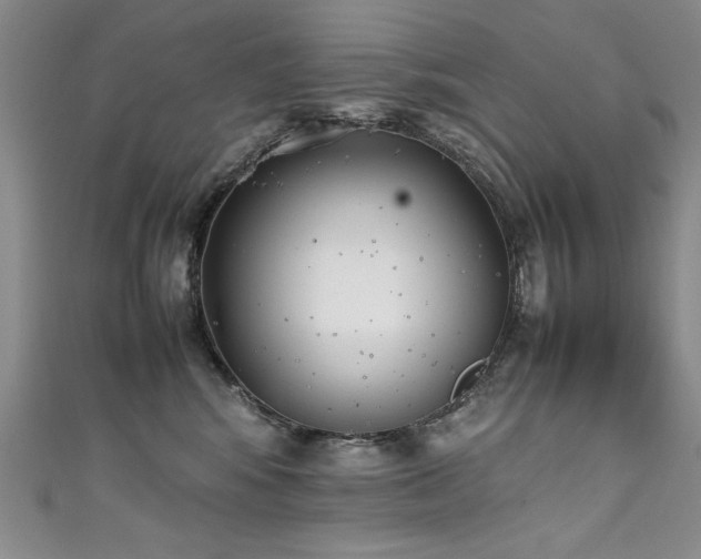 X0000111430424200907131227