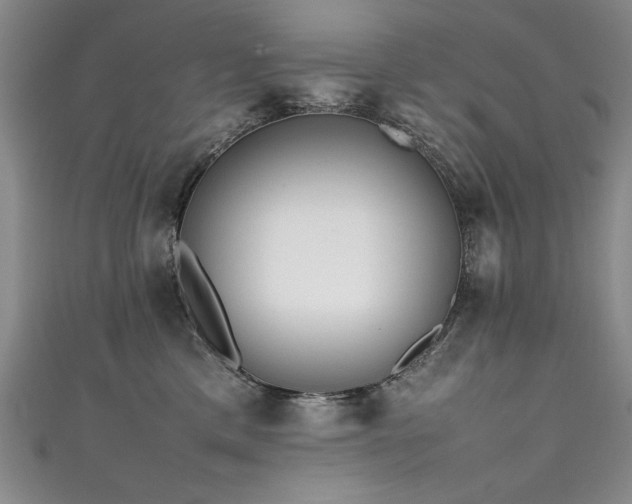X0000111430425200907131227