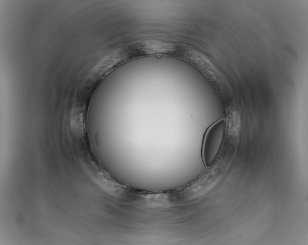 X0000111430426200907131227