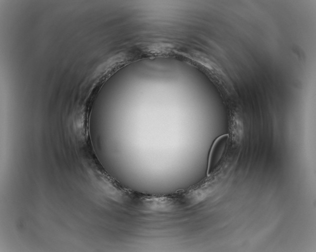 X0000111430428200907131227