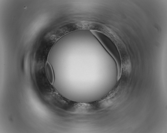 X0000111430429200907131227