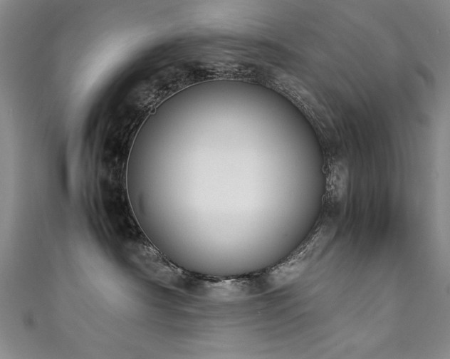 X0000111430430200907131227