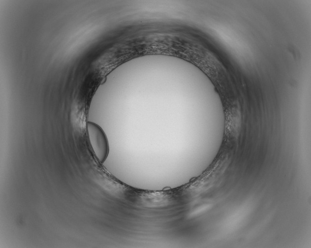 X0000111430431200907131227