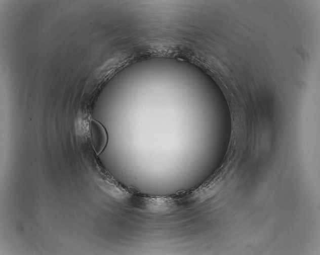 X0000111430432200907131227