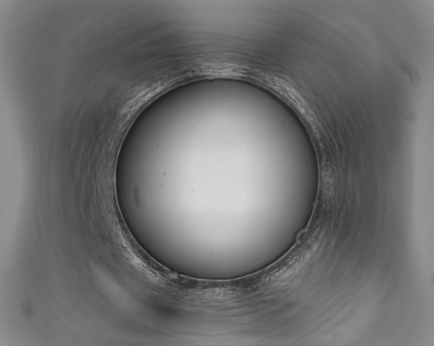 X0000111430433200907131226