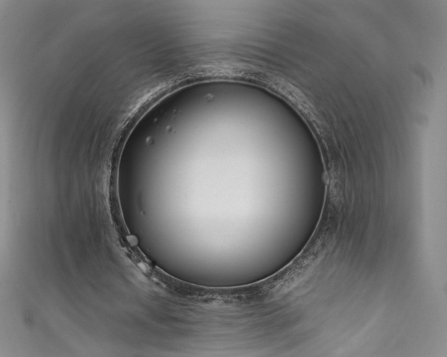 X0000111430434200907131226