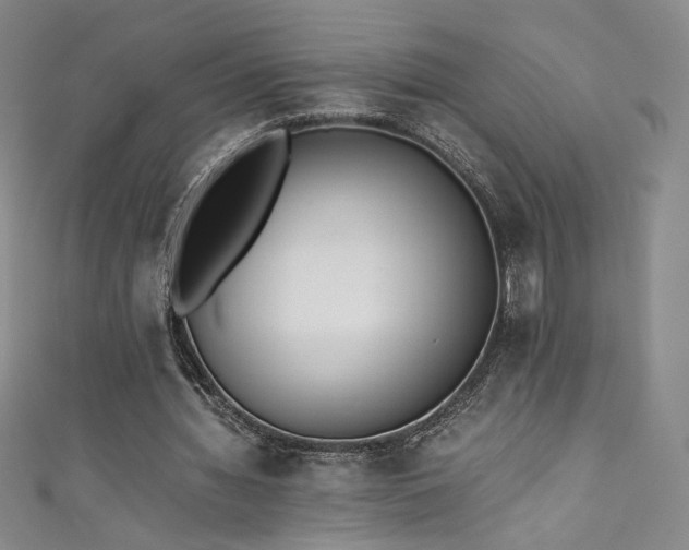 X0000111430436200907131226