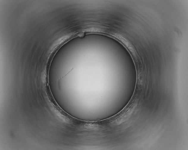 X0000111430437200907131226