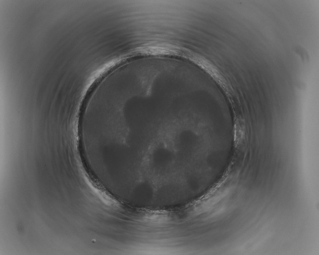 X0000111430438200907131226